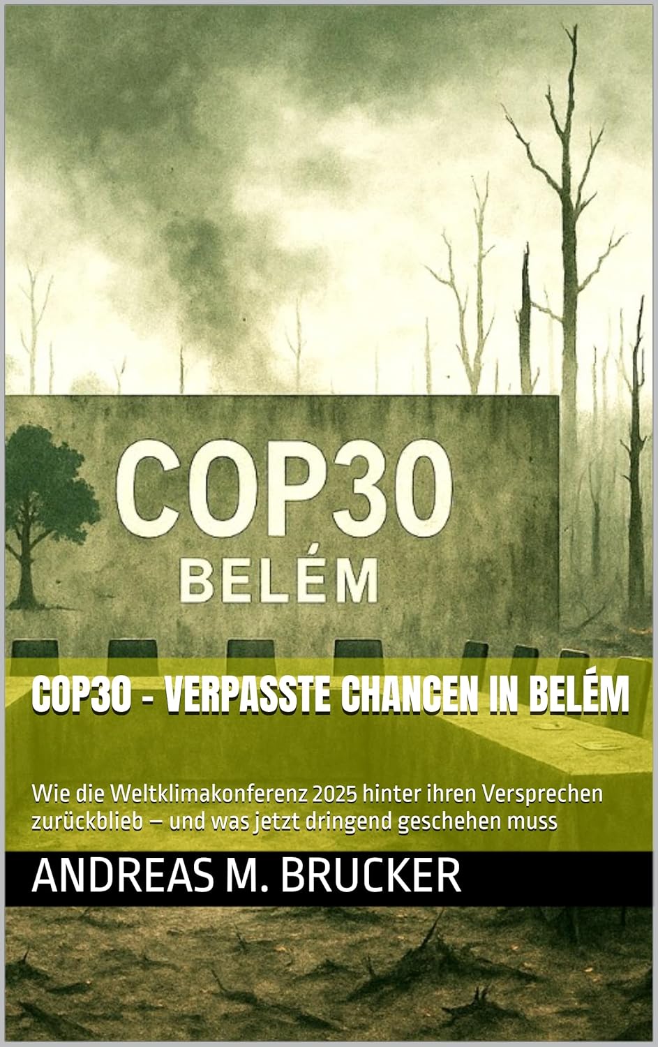 COP30 – Verpasste Chancen in Belém