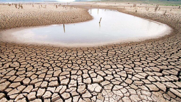 El Niño Auswirkungen auf Meeresleben 2026